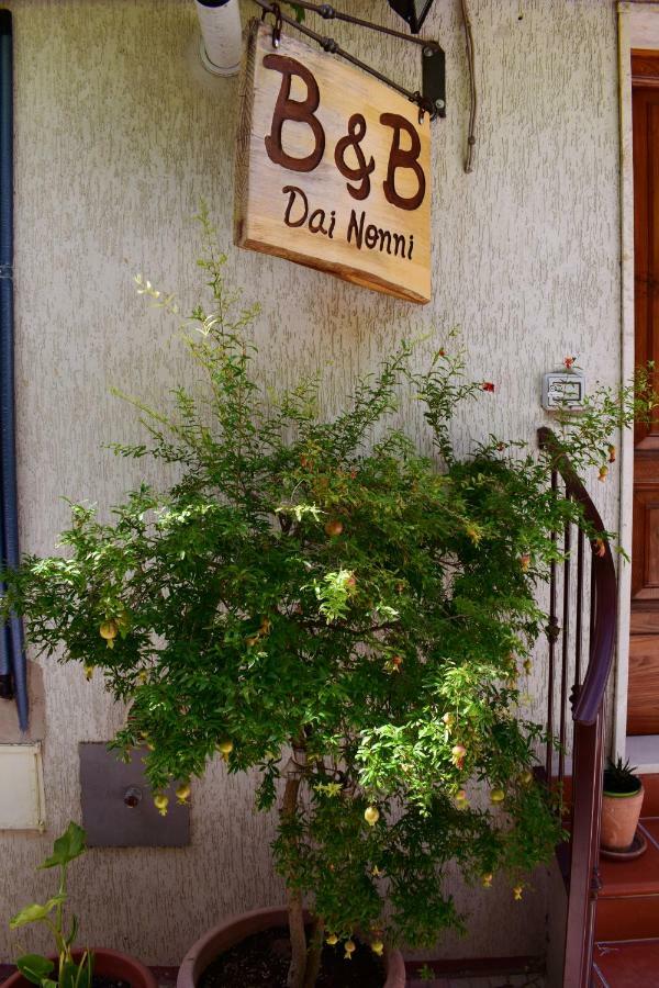 Dai Nonni, B&B A Кьети Экстерьер фото